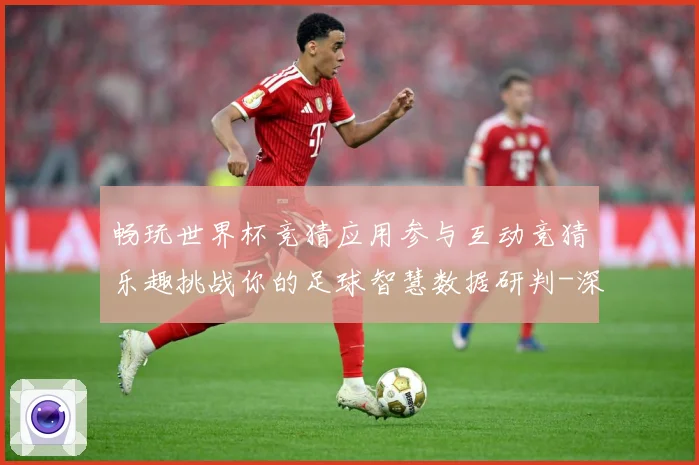 畅玩世界杯竞猜应用参与互动竞猜乐趣挑战你的足球智慧数据研判-深度解析