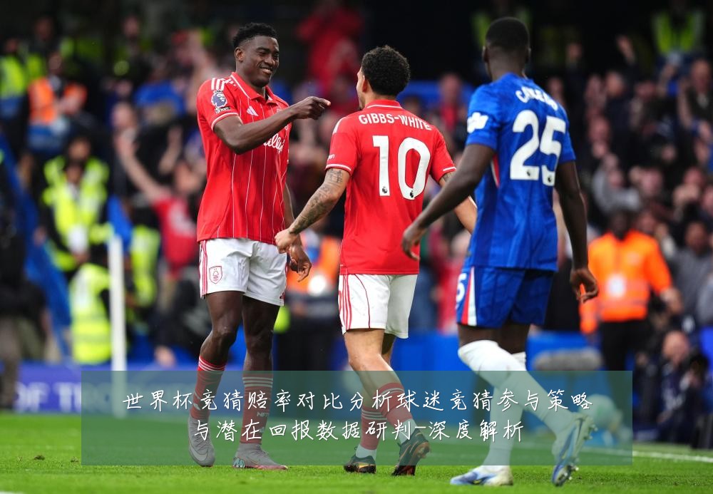 世界杯竞猜赔率对比分析球迷竞猜参与策略与潜在回报数据研判-深度解析